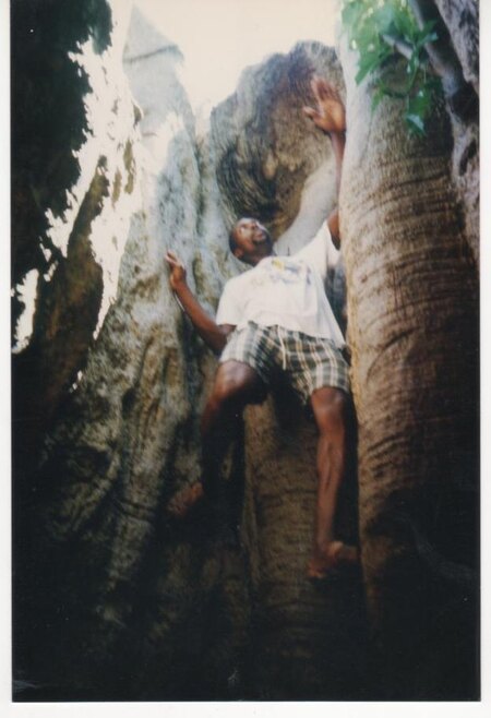 LUC dans un Baobab au S&eacute;n&eacute;gal